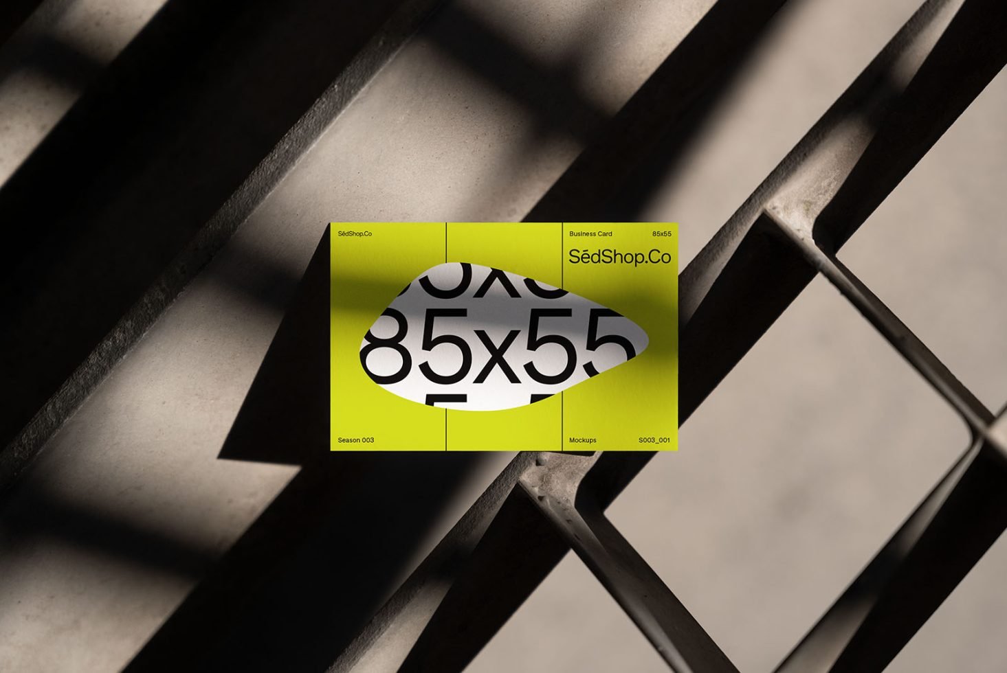 Business Card S3 001 Mockup