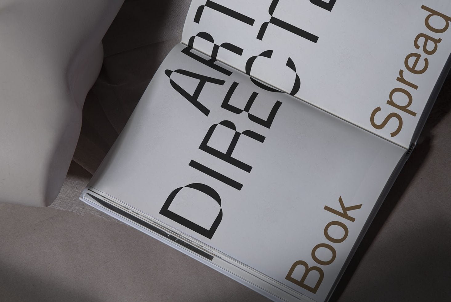 Book C01 Mockup 004