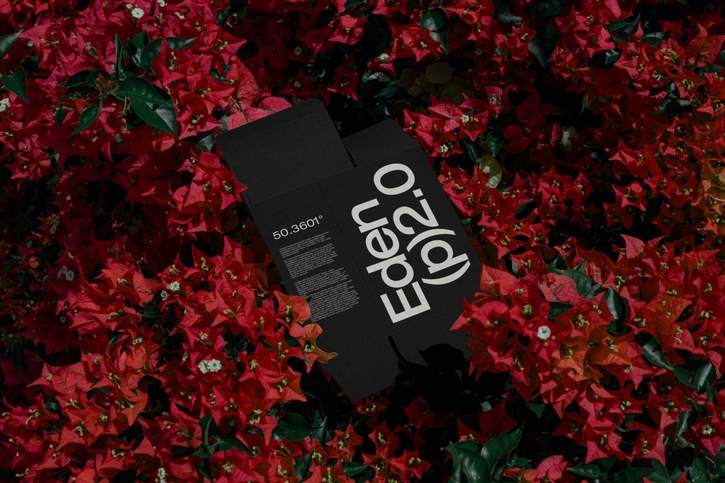 EDEN 02 BOX MOCKUP 05
