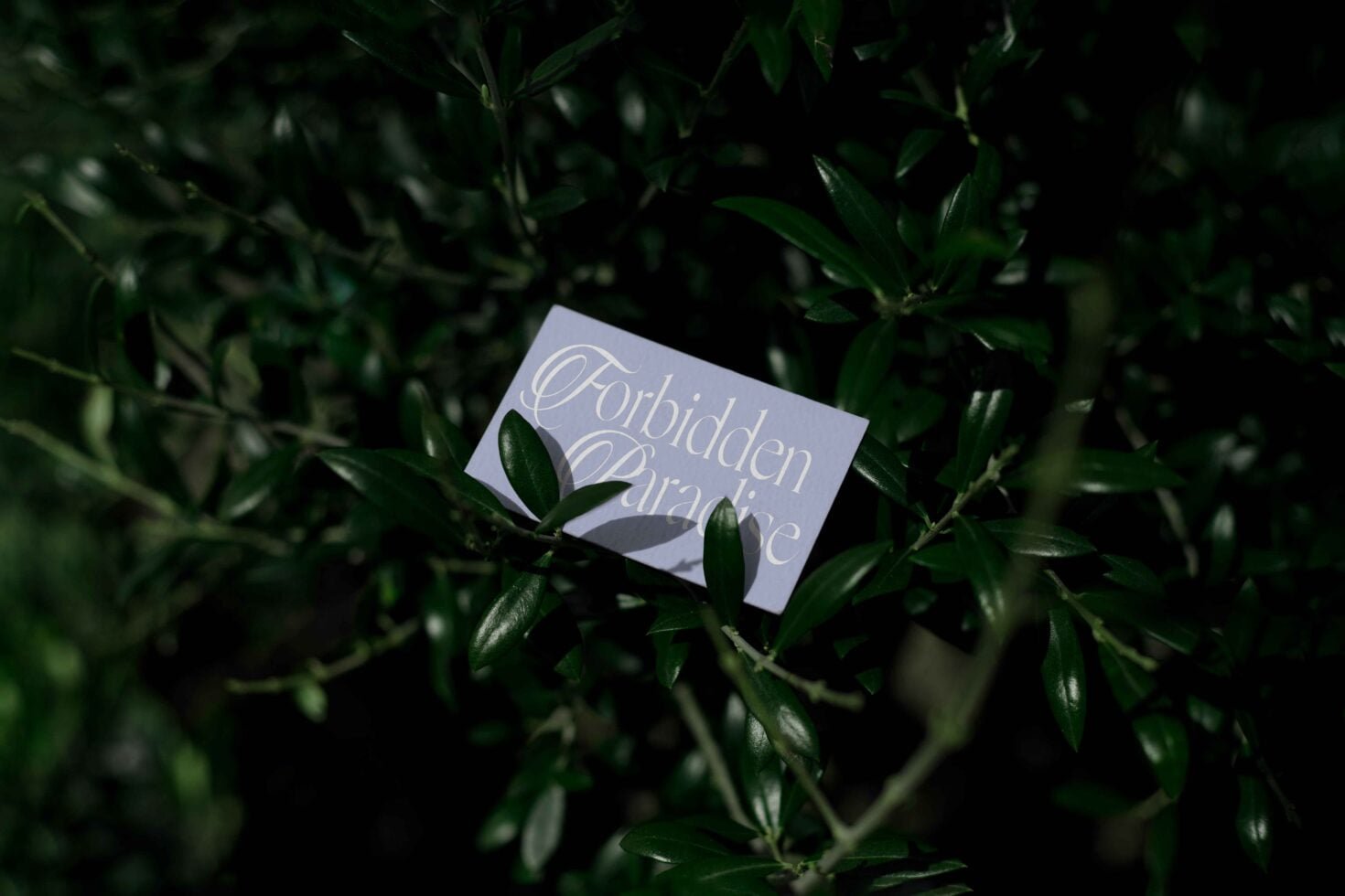 EDEN 02 BUSINESS CARD MOCKUP 01