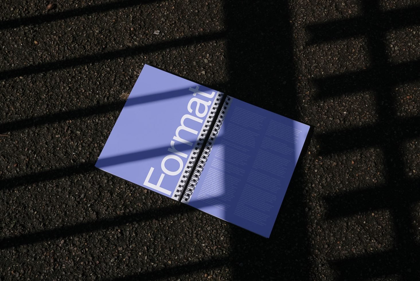 Format B2 Book Mockup 08