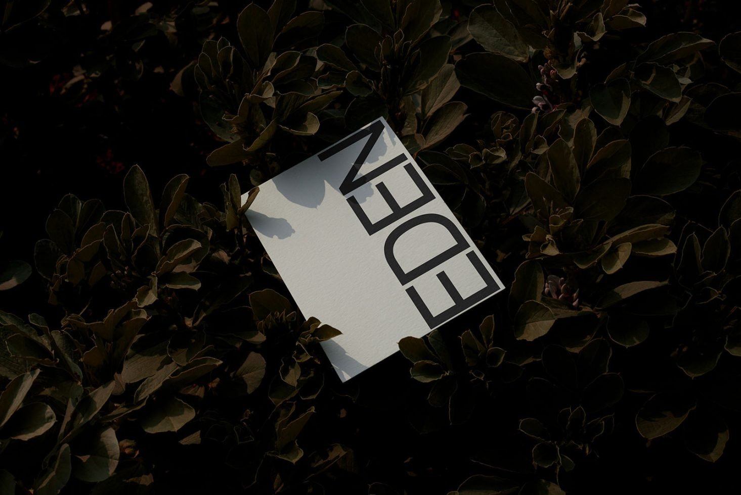 Poster Mockup Eden 02 preview 3
