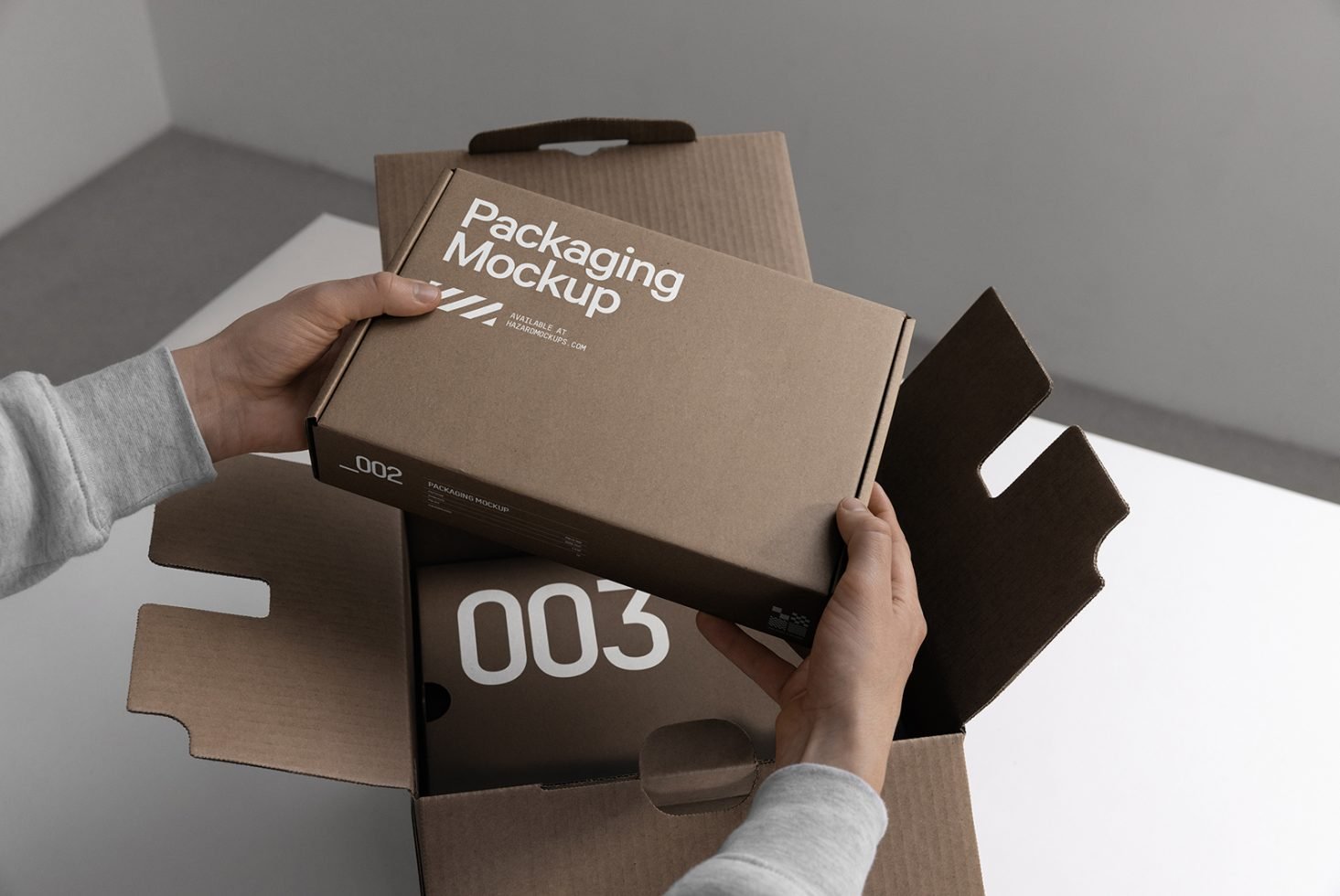 Packaging Mockup HM 008 preview 3