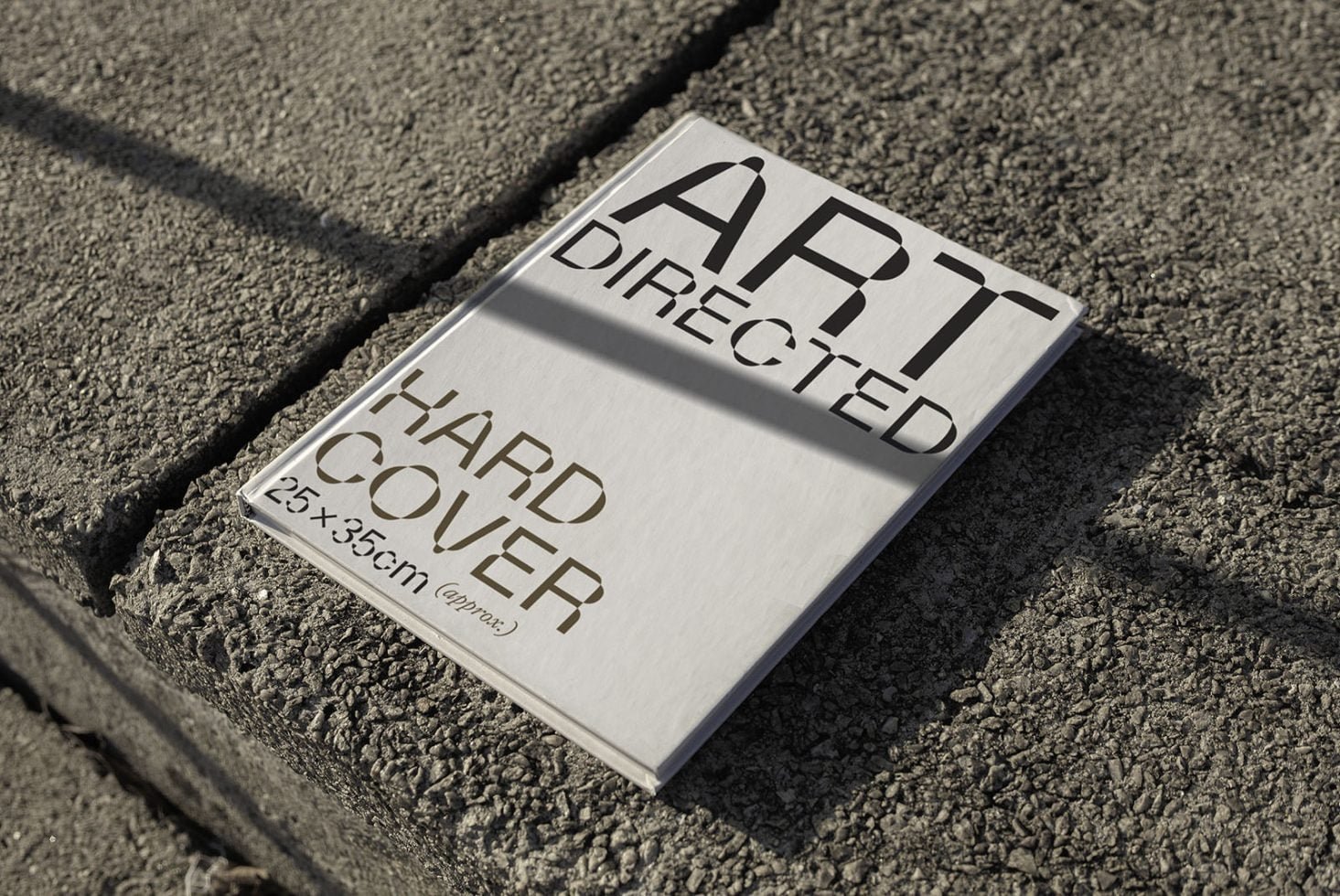 Book C01 Mockup 005