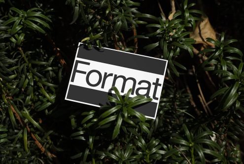 Format 85x55 Business Card Mockup 04