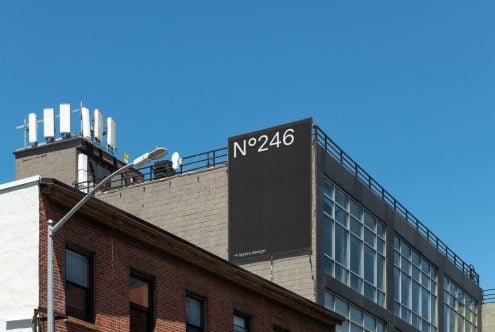 N°246