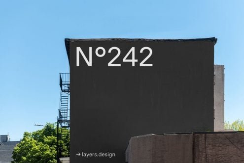 N°242