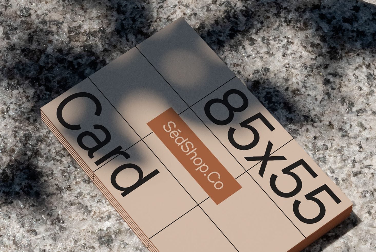Business Card S1 011 Mockup preview 2