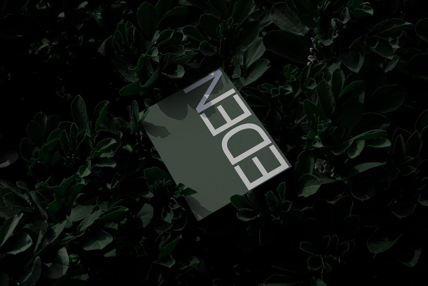 Poster Mockup Eden 02 preview 4