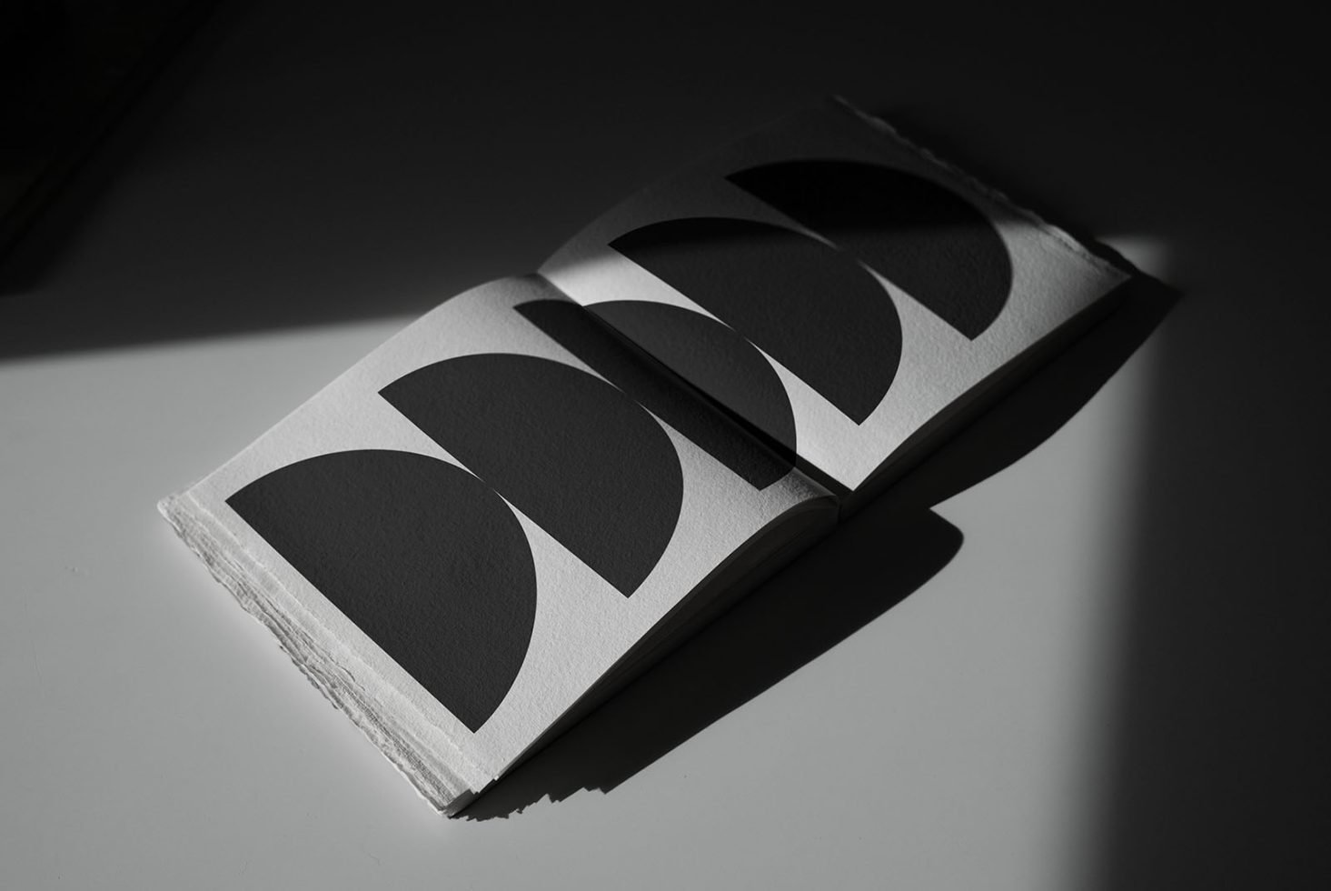 Format B2 Book Mockup 09