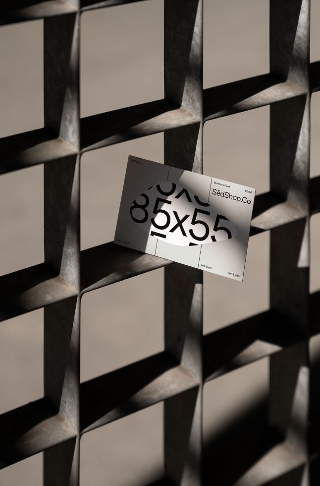 Business Card S3 010 Mockup