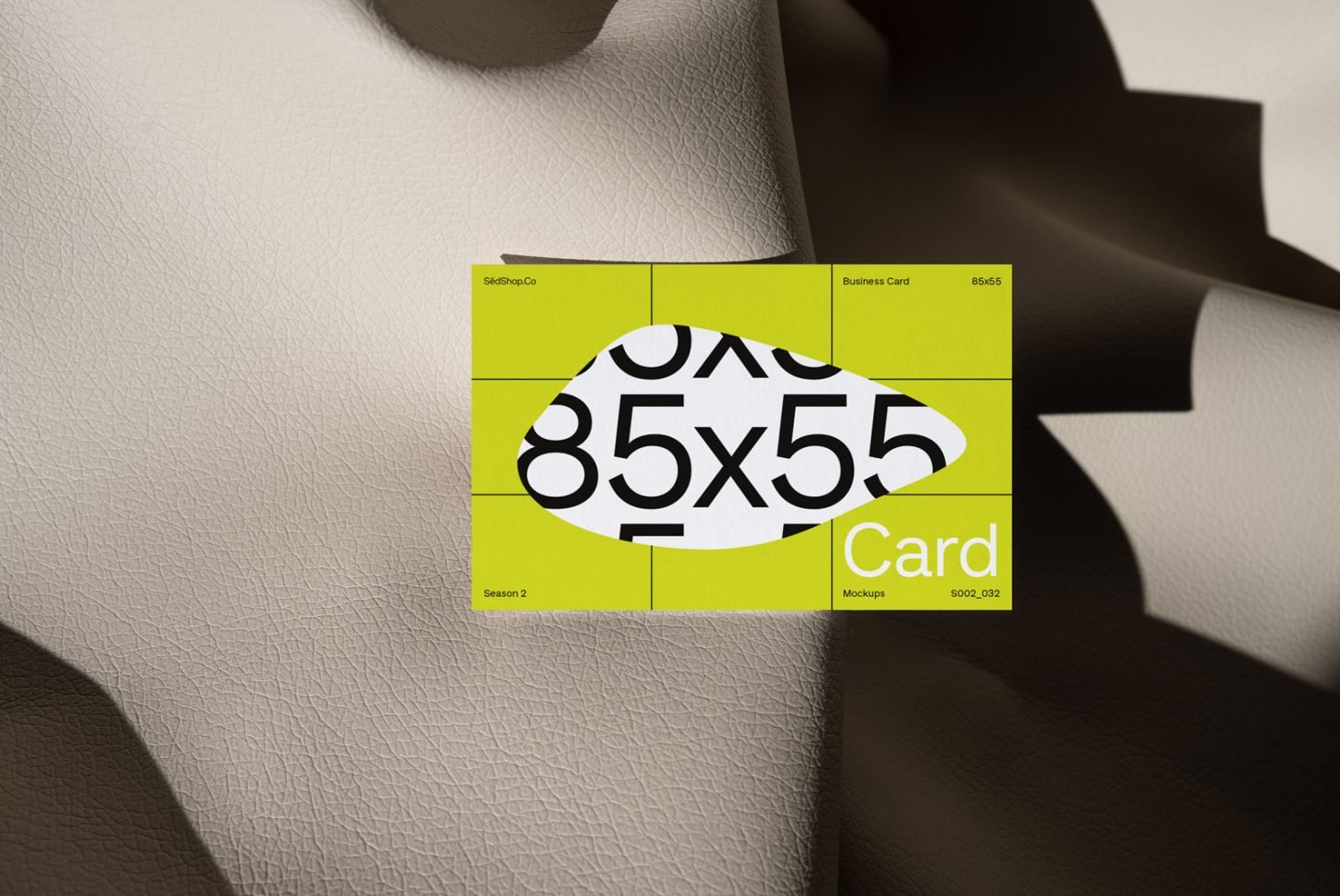 Business Card S2 032 Mockup