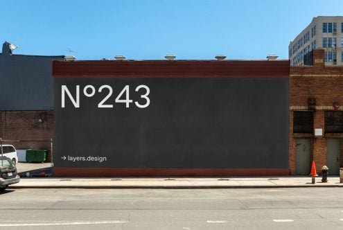 N°243