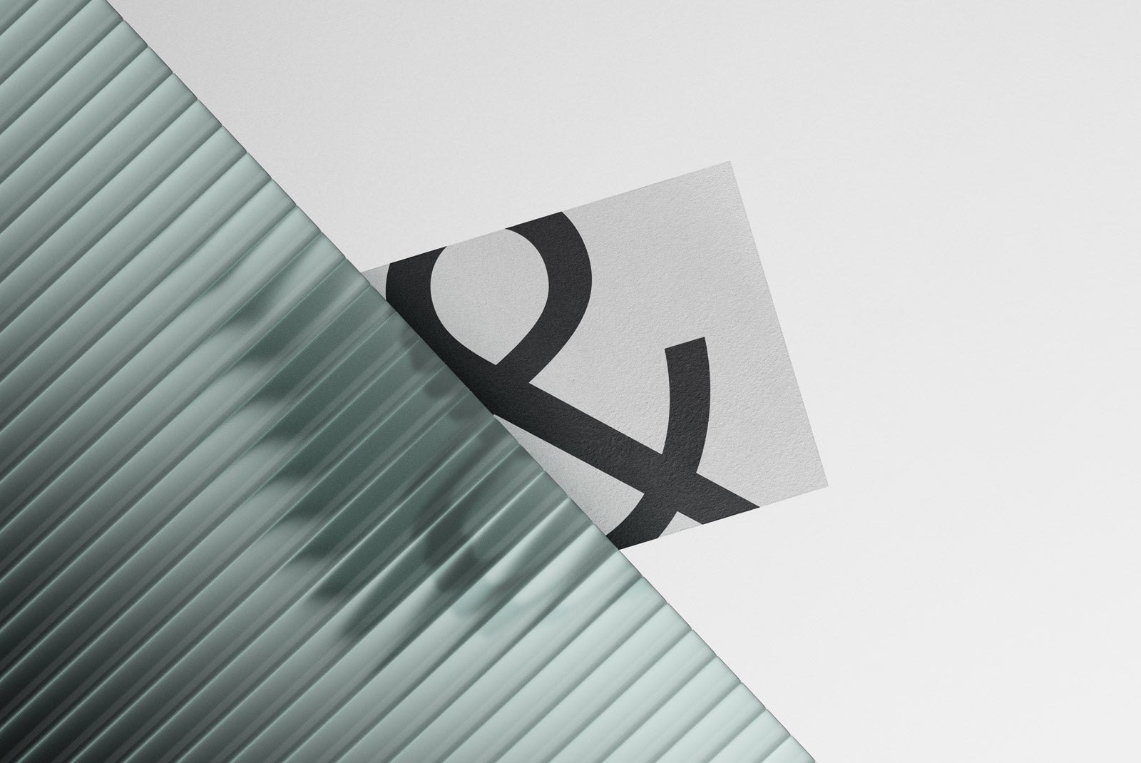 SF Nº005