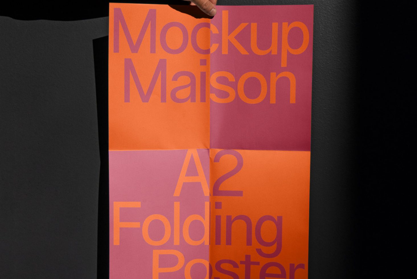 Folding Poster IP D 02 preview 2