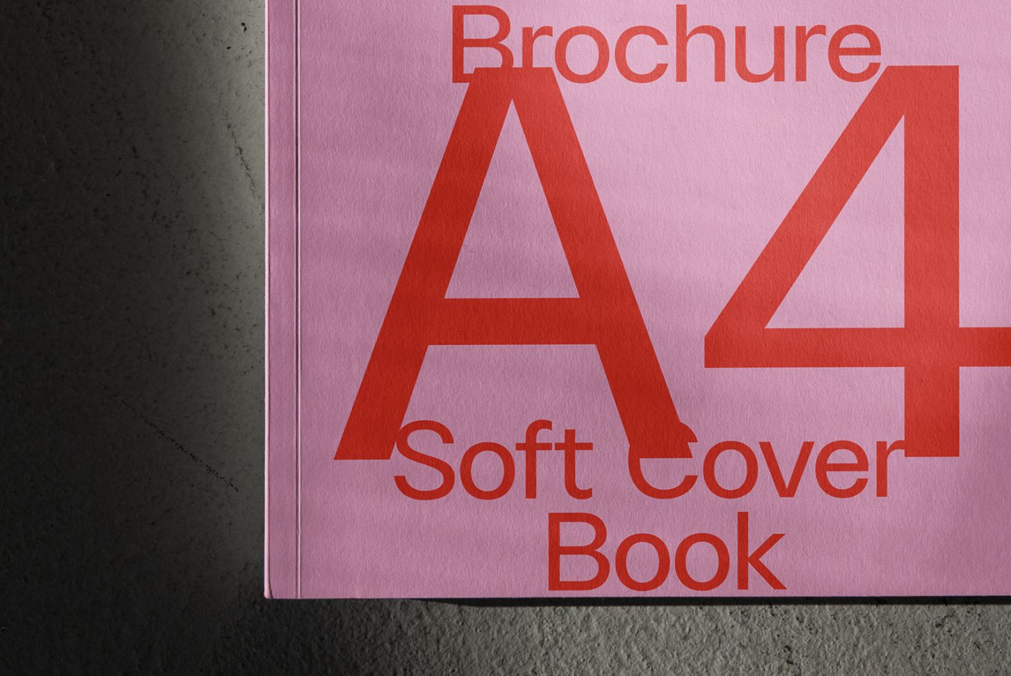 Book BK F01 Mockup preview 2