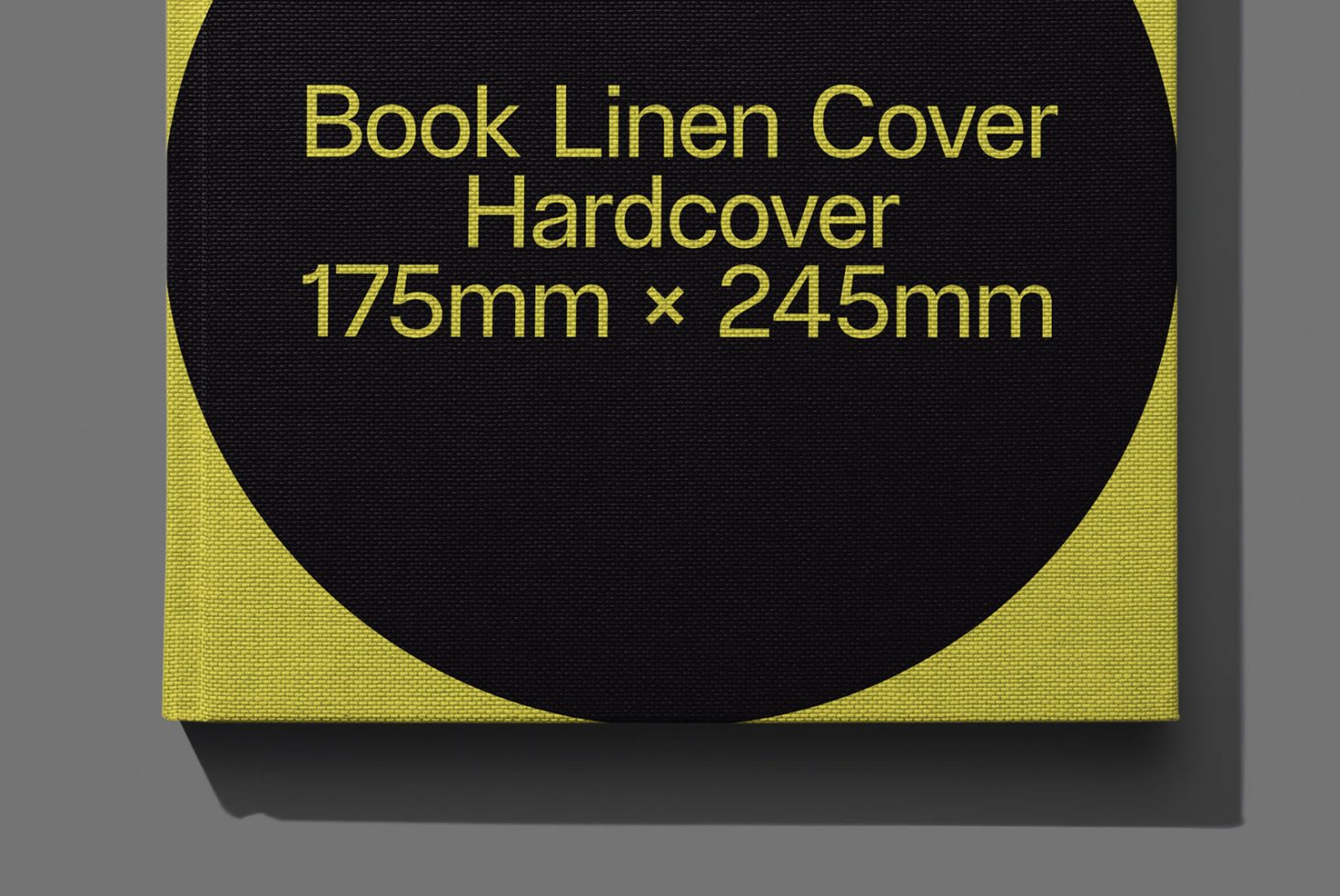 Book BK Classics 208 Mockup preview 2