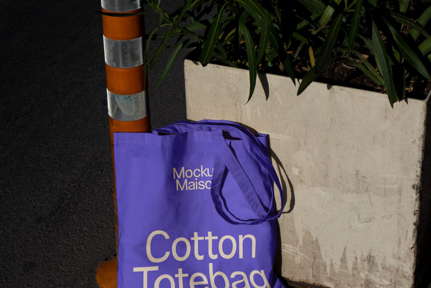 Tote Bag BG H 04 preview 1