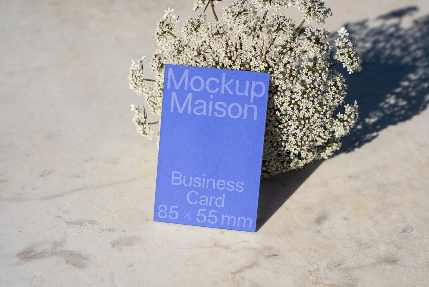 Business Card BC C 05 preview 2