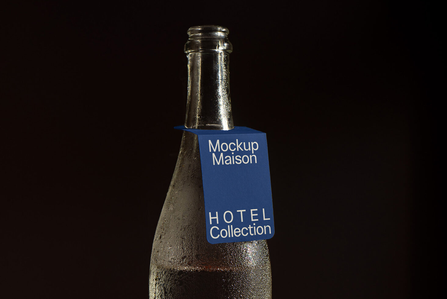 Bottle Mockup BV HTL 02 preview 2
