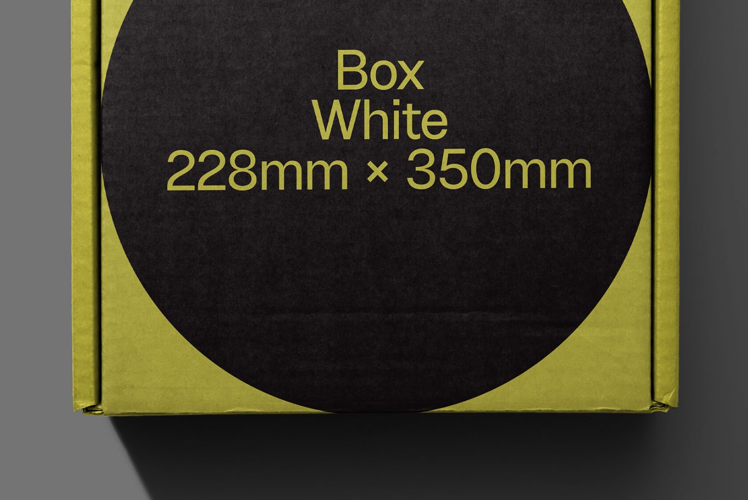 Packaging PG Classics 203 Mockup preview 2
