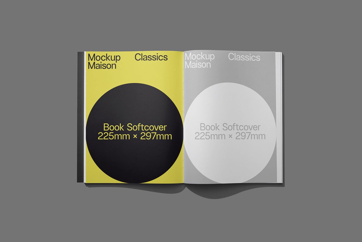 Book BK Classics 202 Mockup preview 1