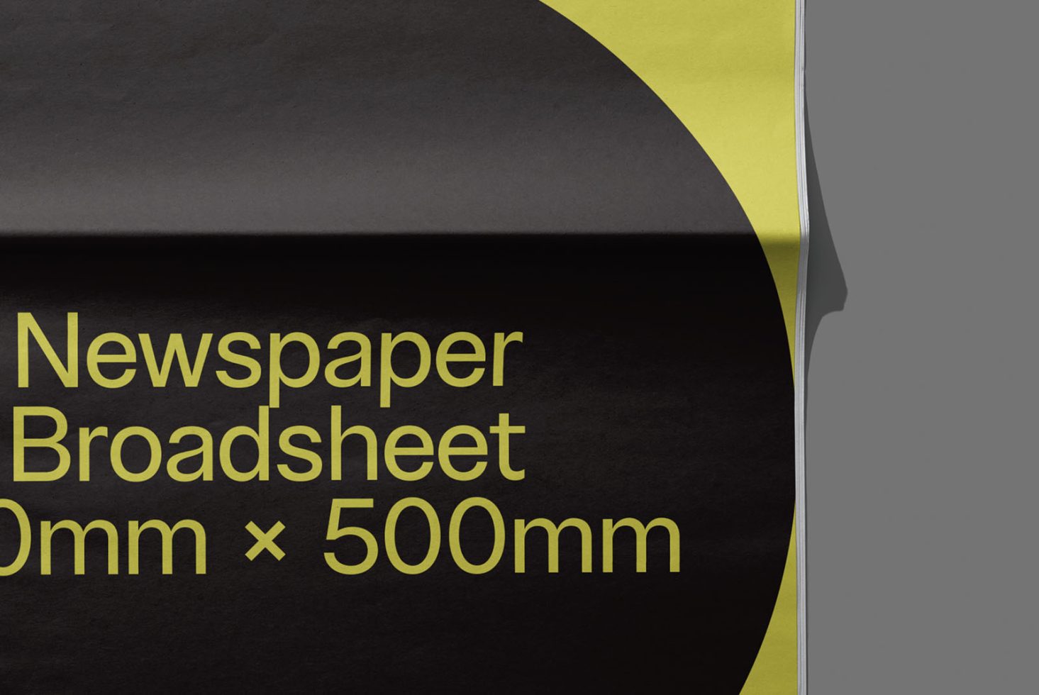Newspaper NP Classics 203 Mockup preview 2
