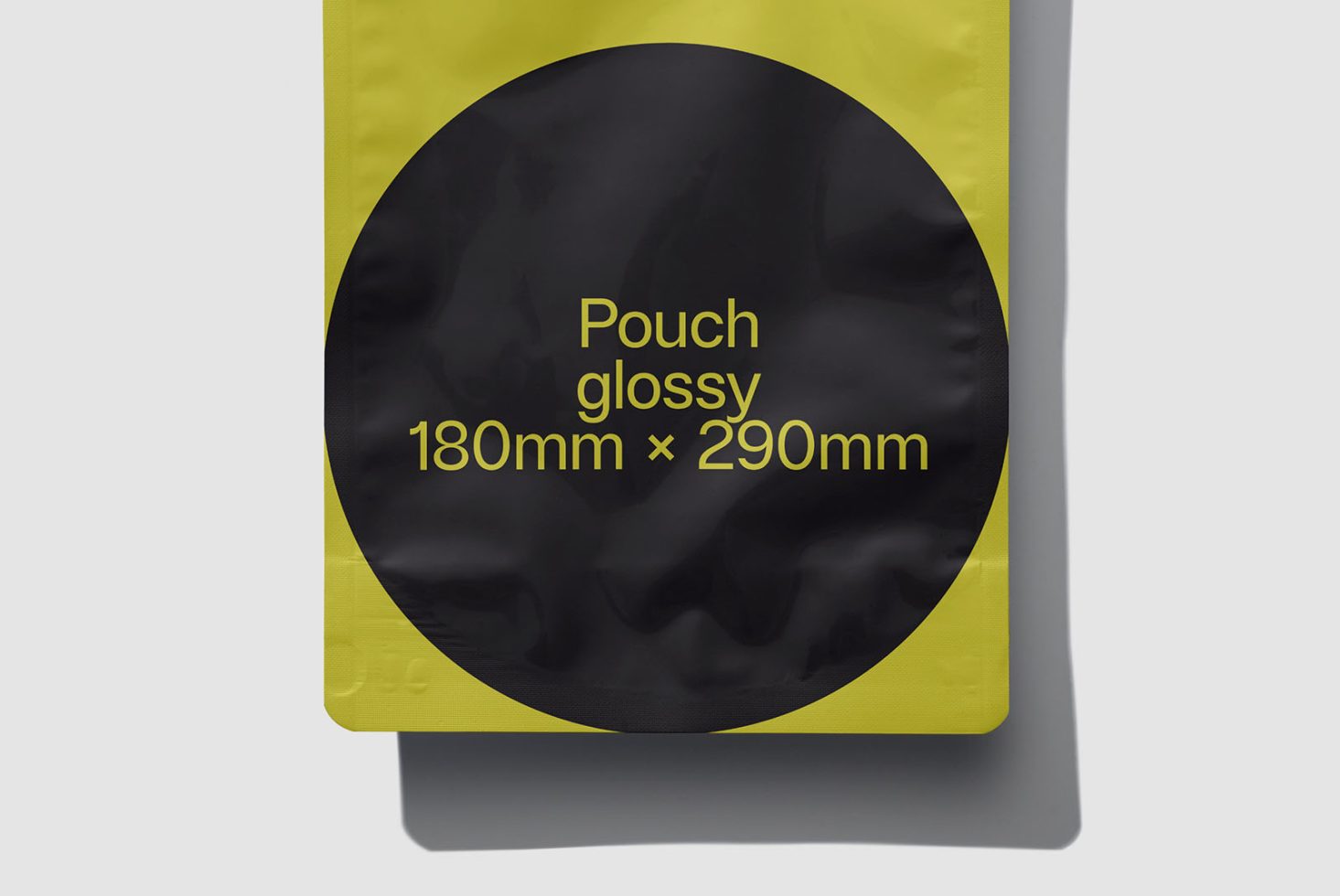 Pouch Classics 103 Mockup preview 2