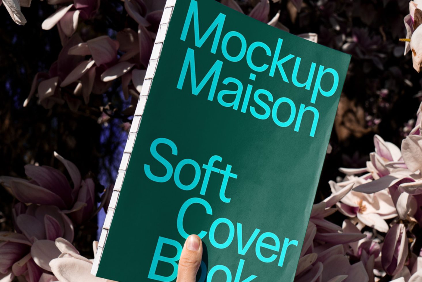 Book BK C 01 preview 2