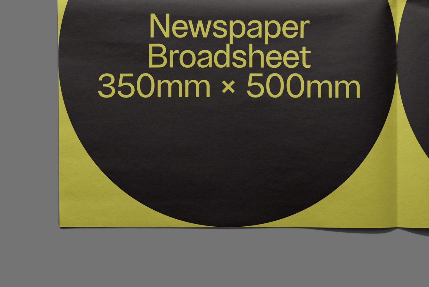 Newspaper NP Classics 204 Mockup preview 2