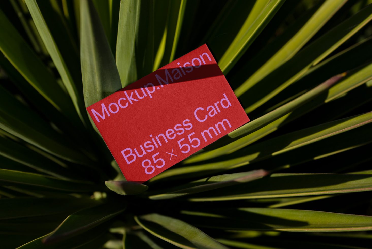 Business Card BC C 04 preview 1