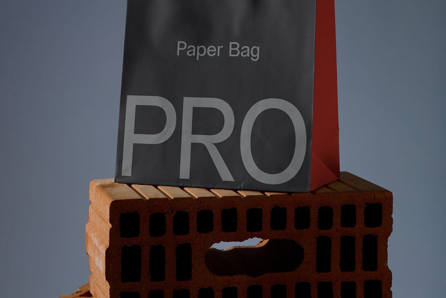 Paper Bag BG PRO101 Mockup preview 1