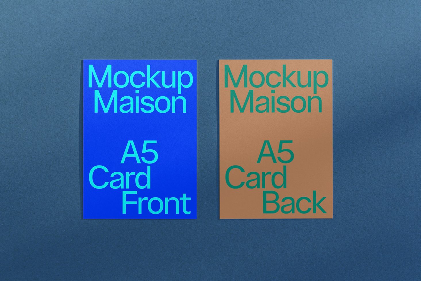 Card CD B 02 preview 2