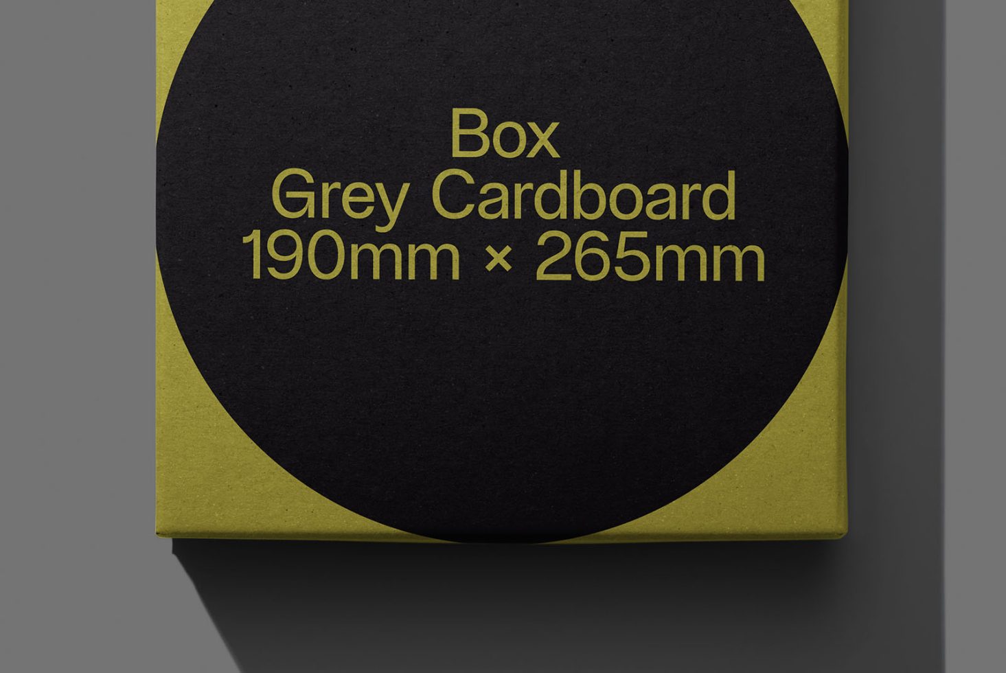 Packaging PG Classics 205 Mockup preview 2