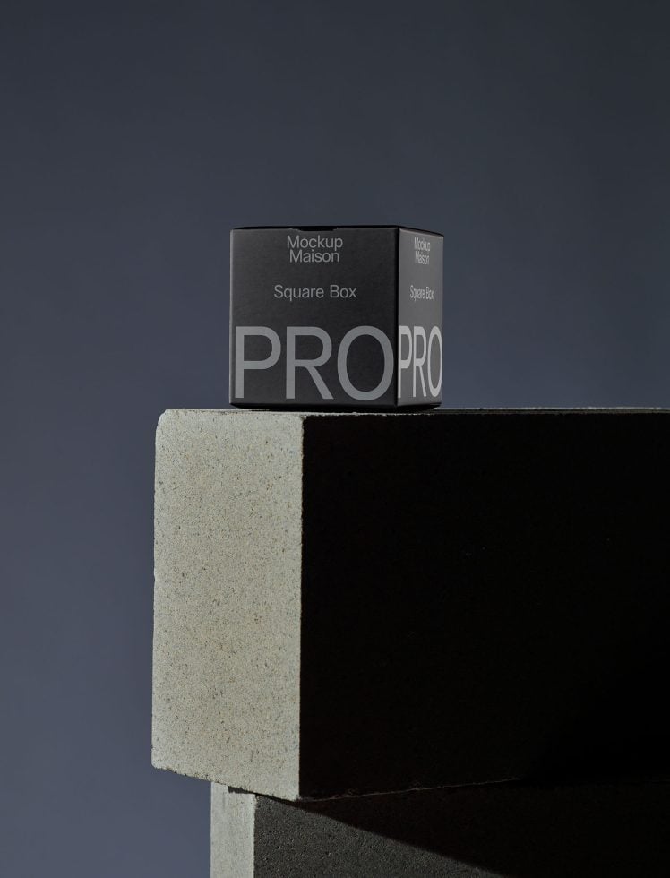 Packaging PG PRO101 Mockup