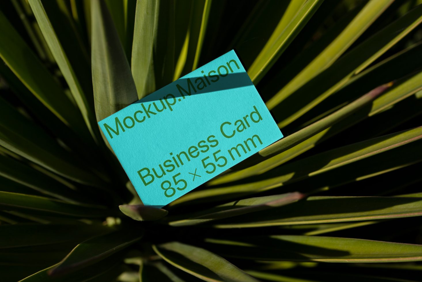 Business Card BC C 04 preview 2