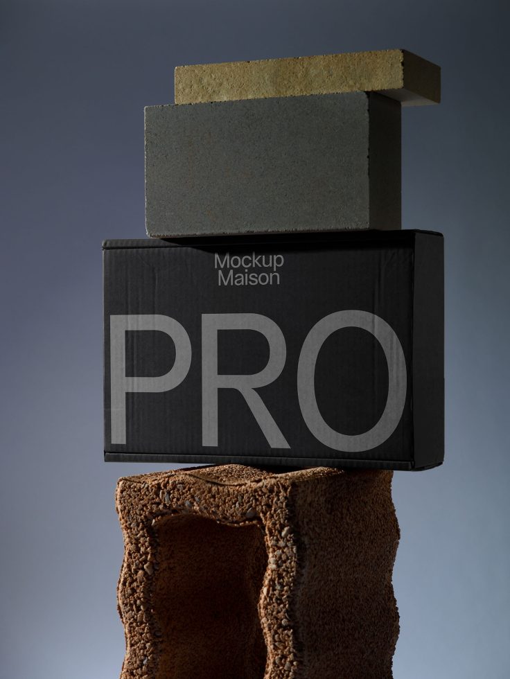 Packaging PG PRO104 Mockup