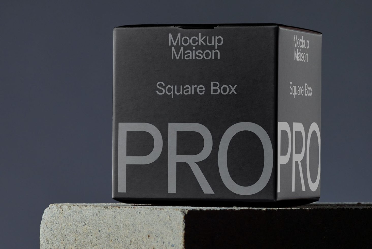 Packaging PG PRO101 Mockup preview 2