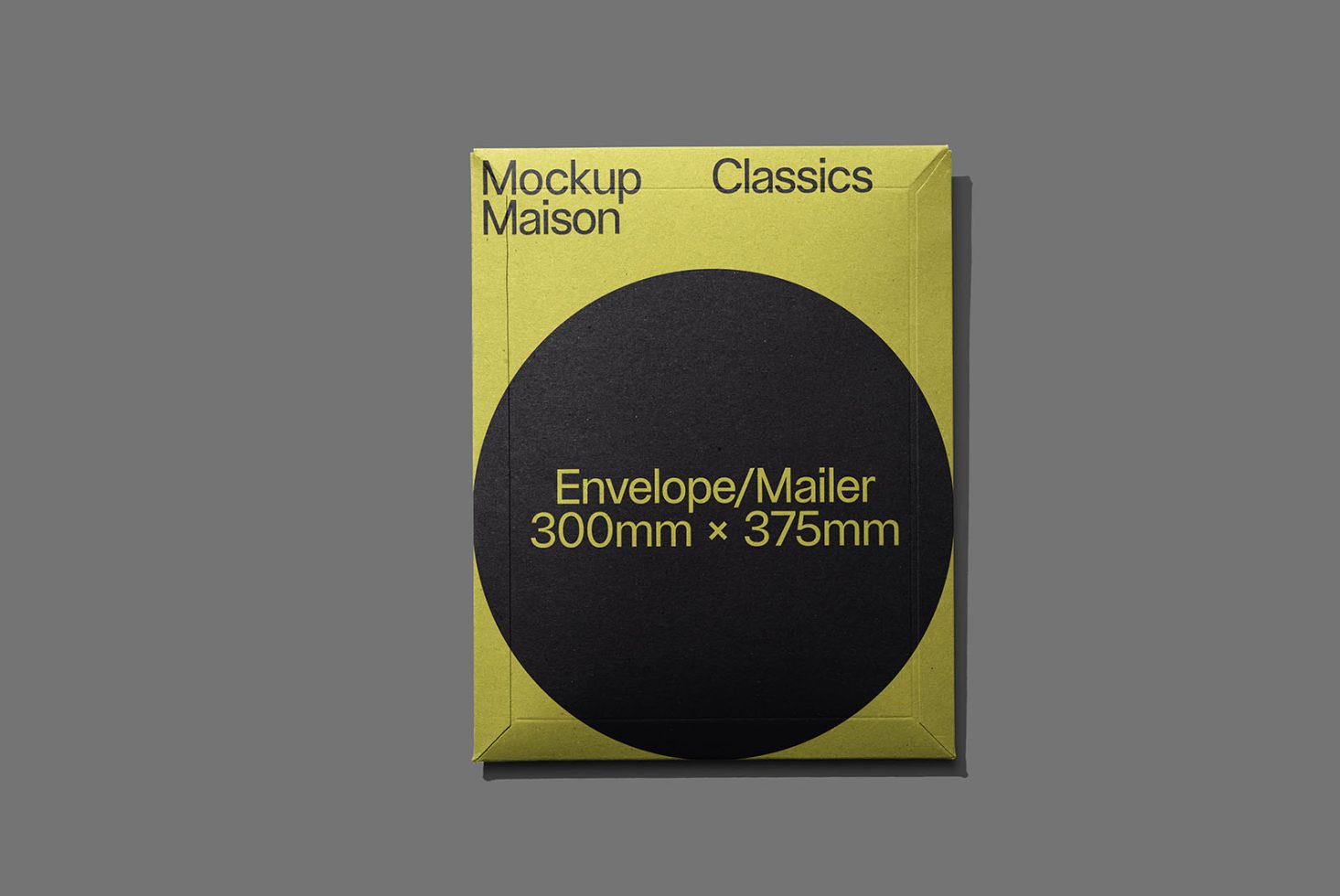 Envelope EV Classics 202 Mockup preview 1