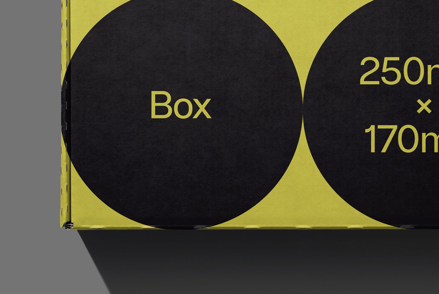 Packaging PG Classics 204 Mockup preview 2