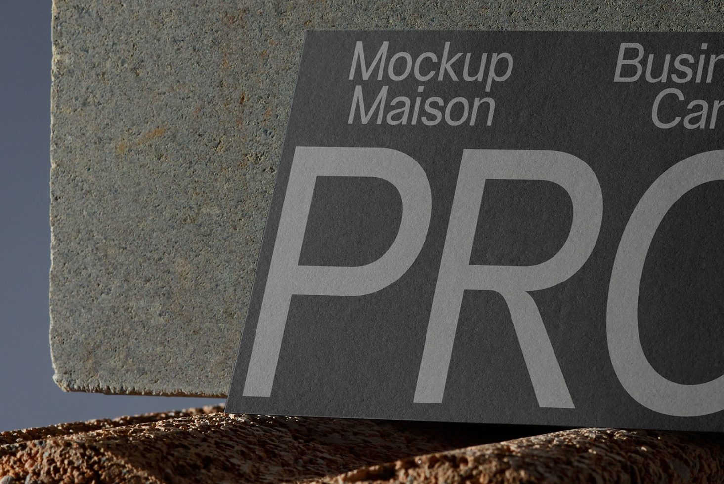 Business Card BC PRO104 Mockup preview 2