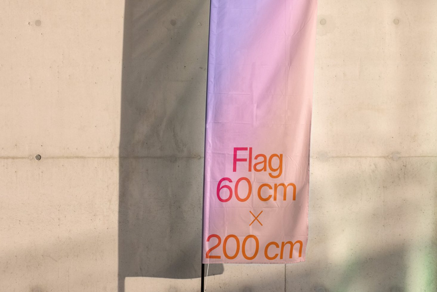 Banner BN B 01 preview 1