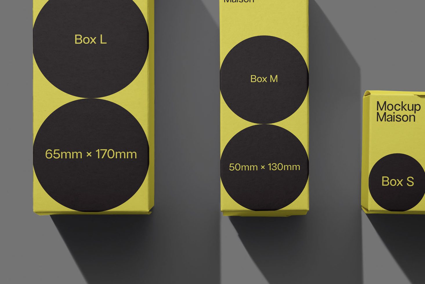 Packaging PG Classics 206 Mockup preview 2