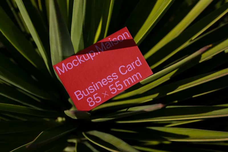 Business Card BC C 04
