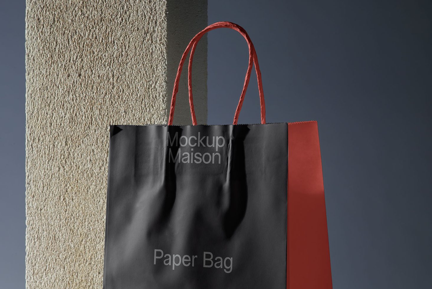 Paper Bag BG PRO104 Mockup preview 1
