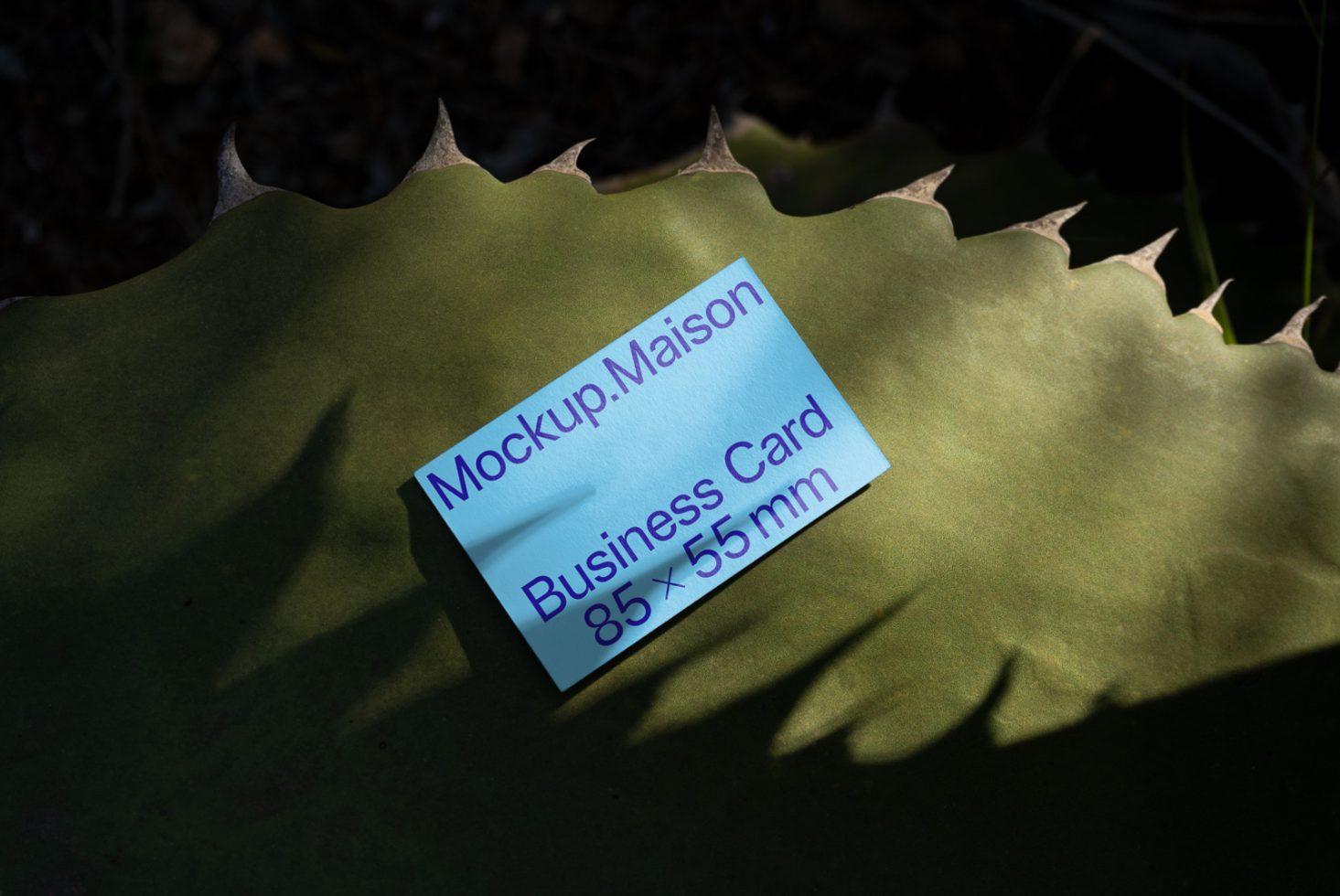 Business Card BC C 02 preview 1