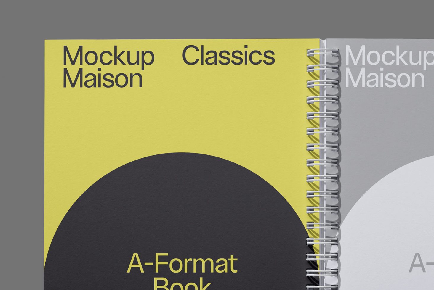 Book BK Classics 207 Mockup preview 2