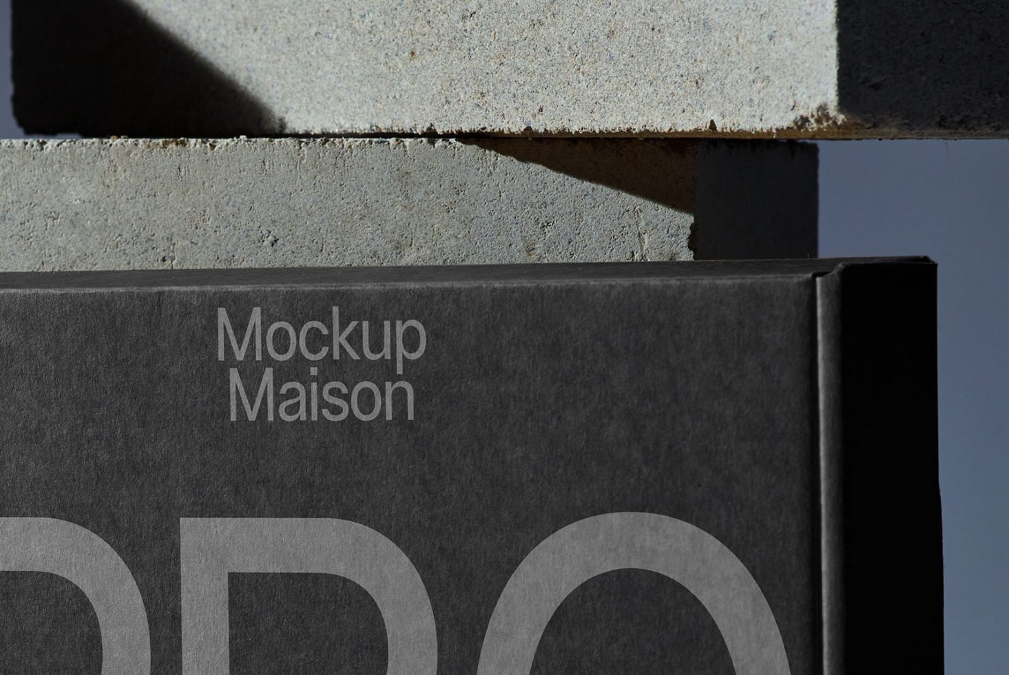 Packaging PG PRO102 Mockup preview 2