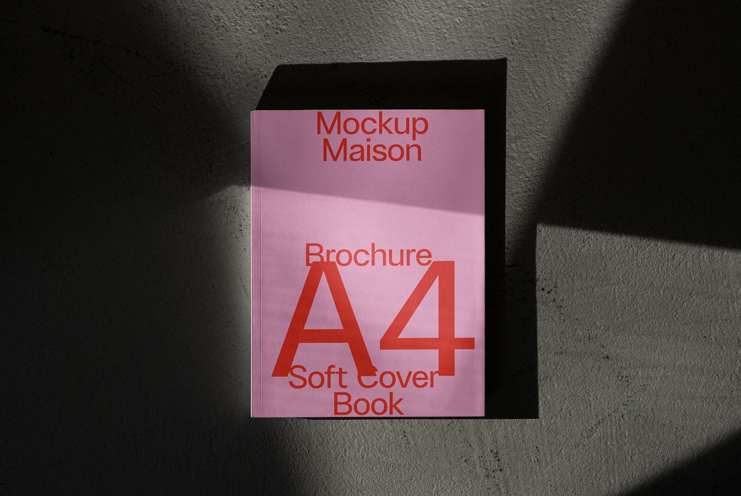 Book BK F01 Mockup preview 1