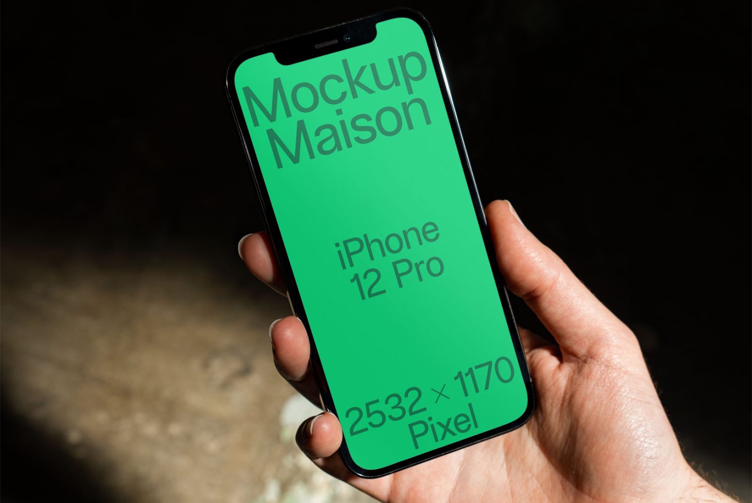 iPhone 12 Pro C01 Mockup preview 1